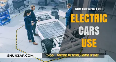 Electric Vehicles' Future: Rare Metals Powering the Green Revolution