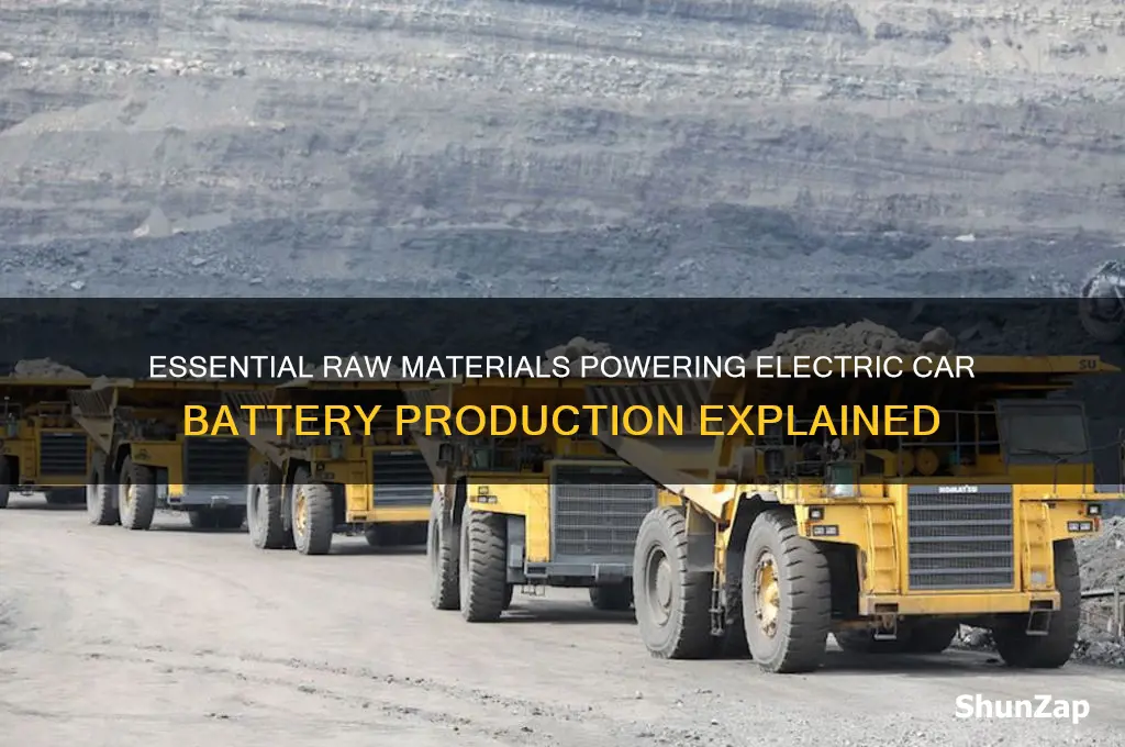 what raw materials are needed for electric car batteries