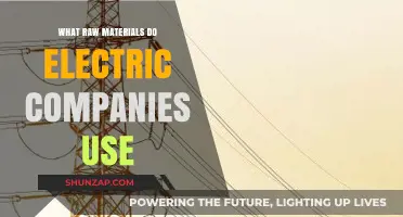 Essential Raw Materials Powering Electric Companies: A Comprehensive Overview