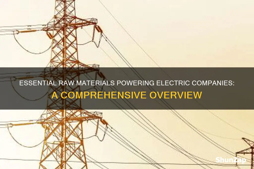 what raw materials do electric companies use