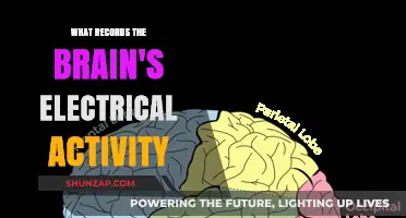 Brain Waves: Unlocking the Mind's Electricity