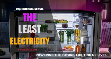 Energy-Efficient Refrigerators: Top Models That Use the Least Electricity