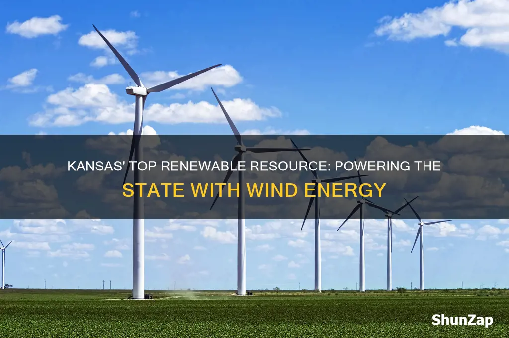 what renewable resource does kansas use most for electricity