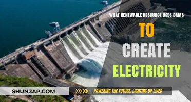 Harnessing Hydropower: How Dams Generate Clean, Renewable Electricity