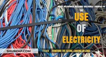 Electricity's Rise: How Copper Became a Priceless Resource