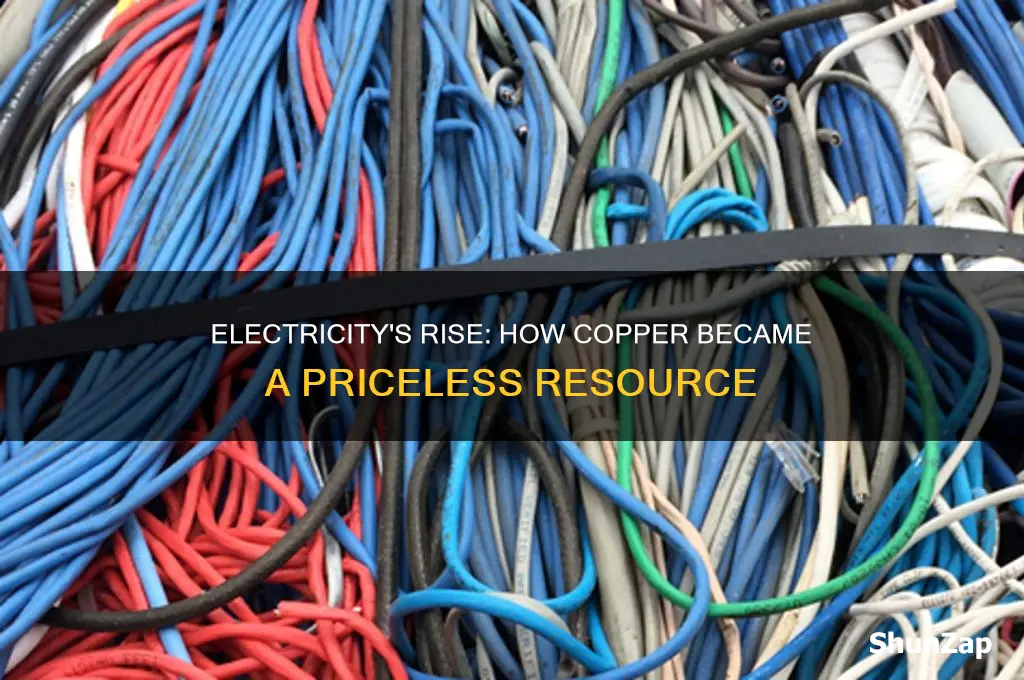 what resource became valuable thanks to the use of electricity