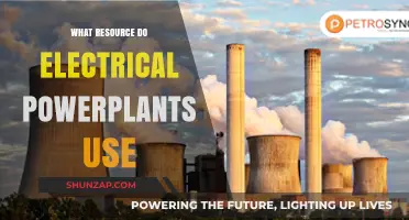 Exploring Energy Sources: What Fuels Electrical Power Plants Worldwide?