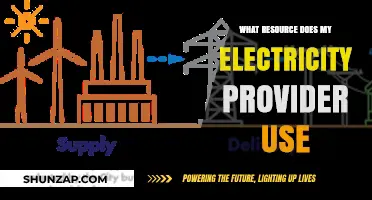 Unveiling Your Electricity Provider's Primary Energy Resource: A Comprehensive Guide