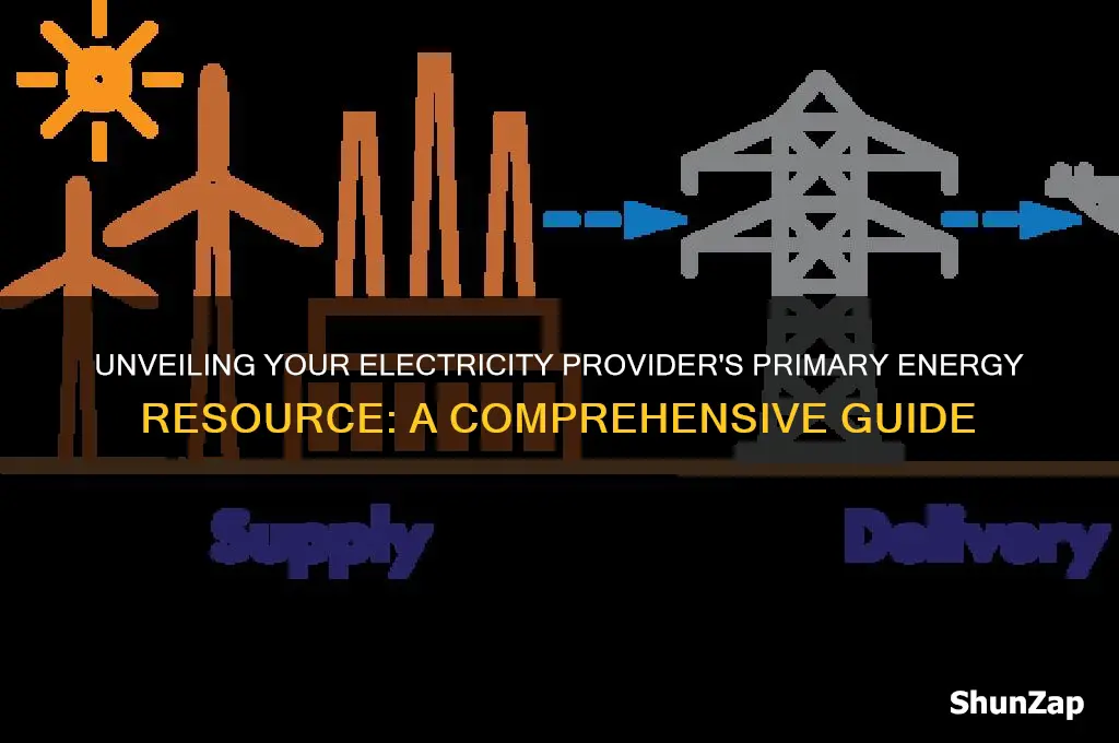 what resource does my electricity provider use