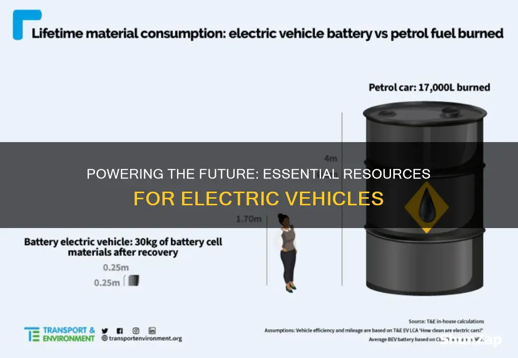 what resource is important in electrical vehicles