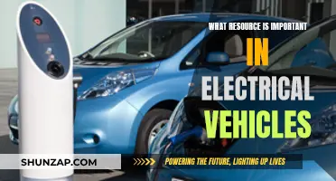 The Power of Batteries: Electric Vehicles' Essential Resource