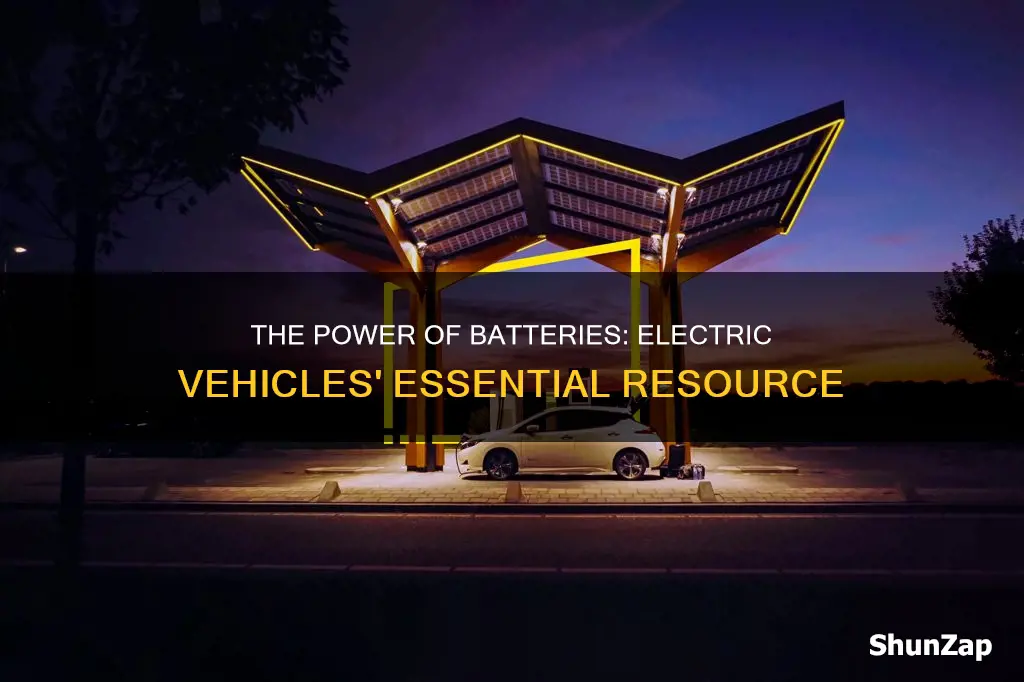 what resource is important in electrical vehicles
