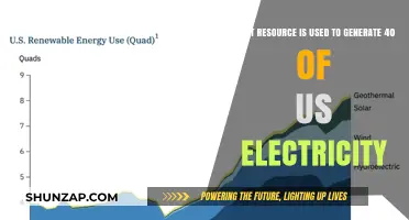 Unveiling the Dominant Resource Powering 40% of US Electricity Generation