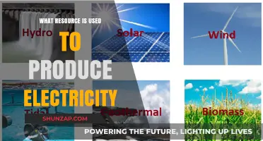 Powering the World: Exploring Resources Used to Generate Electricity