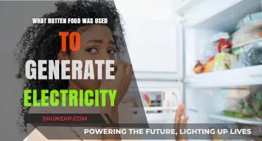 Rotten Food to Renewable Energy: How Waste Powers Electricity Generation