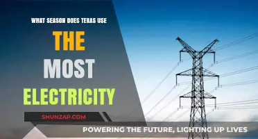 Texas Electricity Usage: Which Season Consumes the Most Power?