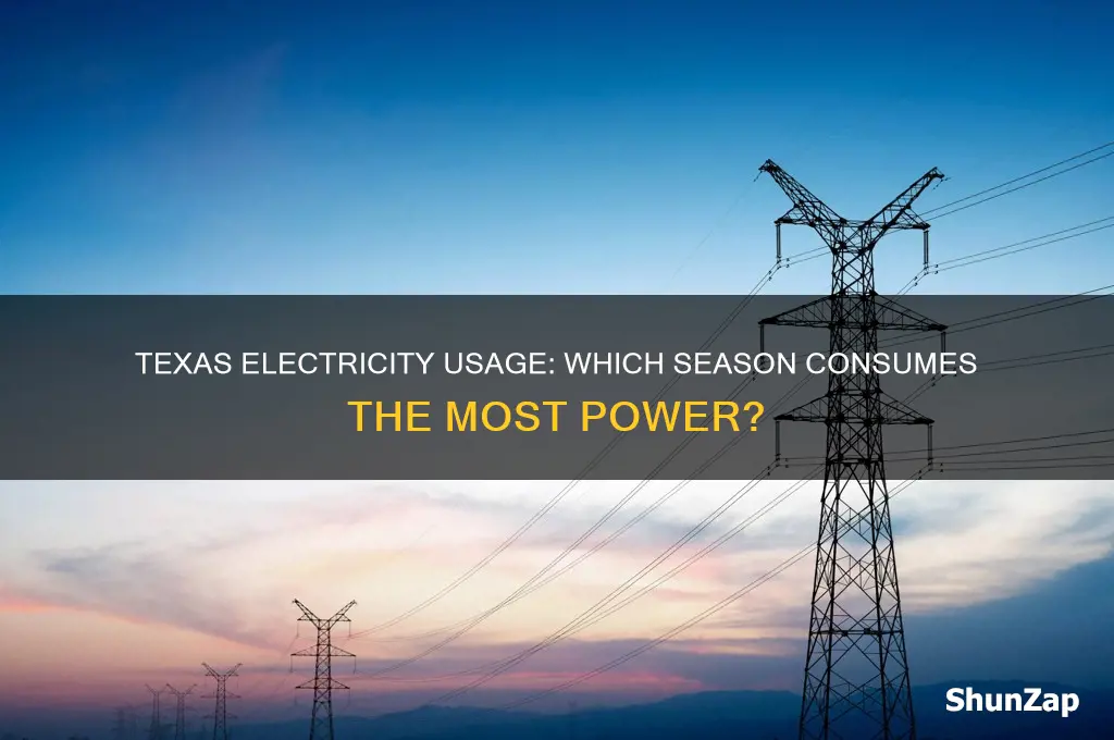 what season does texas use the most electricity