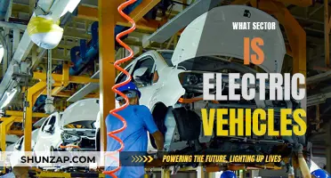 Electric Vehicles: Powering the Future of Transportation