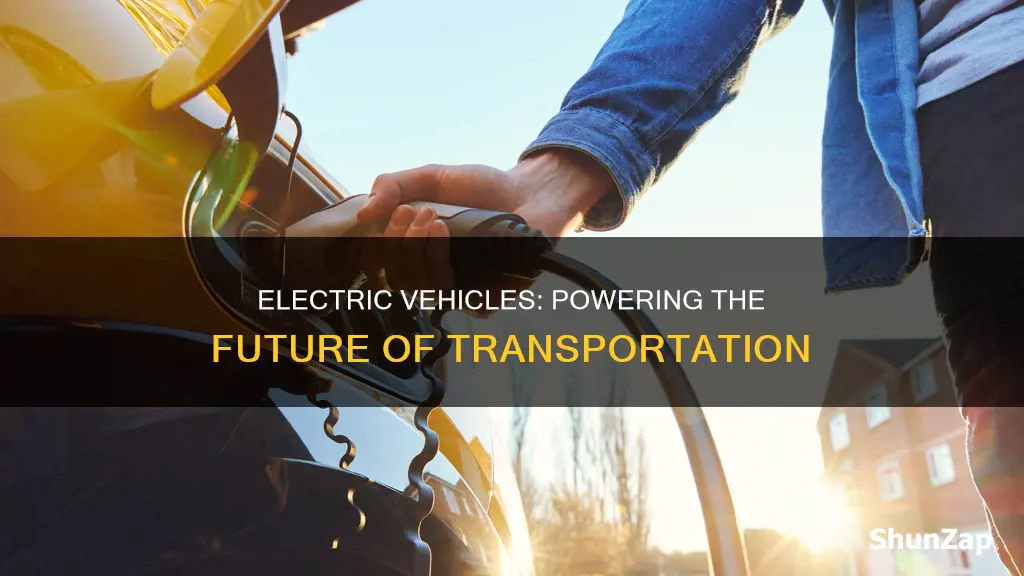 what sector is electric vehicles