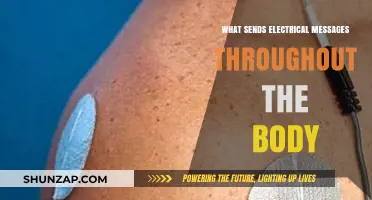 How the Body Sends Electrical Messages