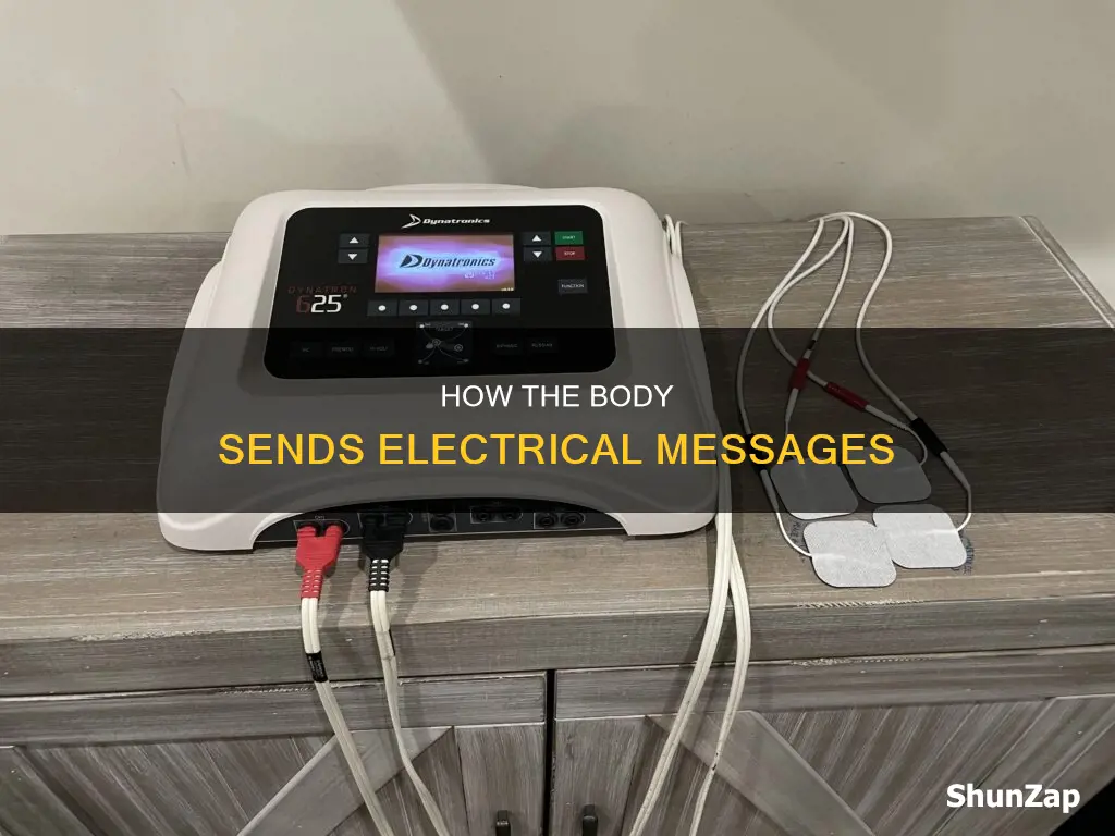 what sends electrical messages throughout the body