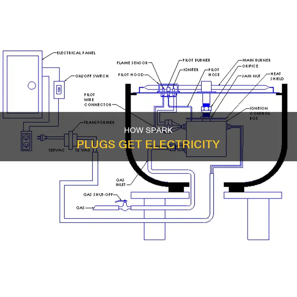 what sends electricity to the spark plugs
