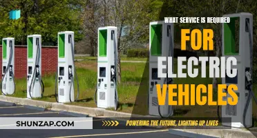 Powering Electric Vehicles: Essential Services for a Sustainable Future