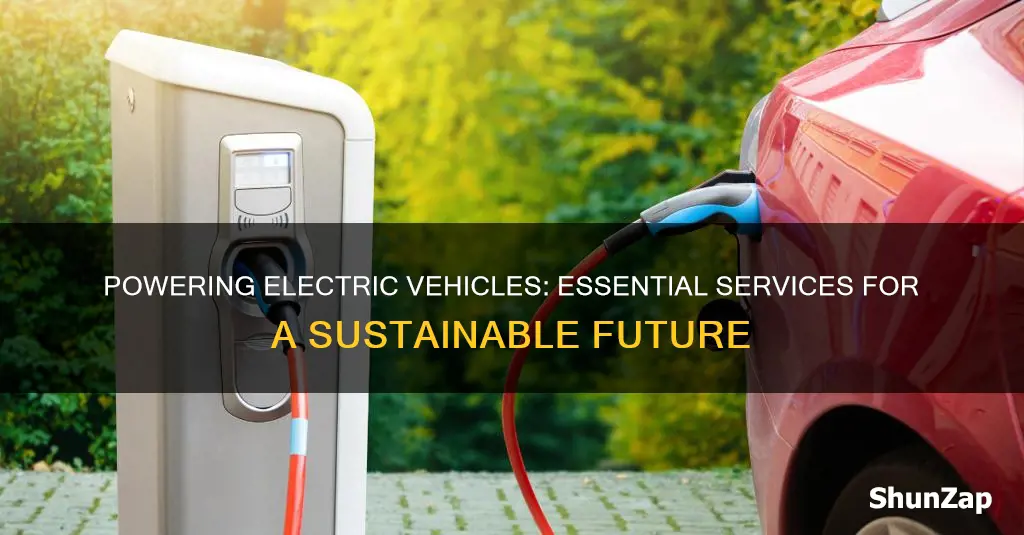 what service is required for electric vehicles