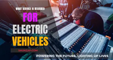 Electric Vehicles: What Services Do They Need?