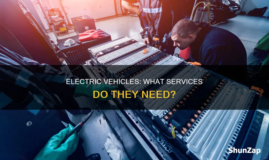 what service is required for electric vehicles