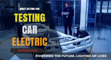 Optimal Testing Environments for Electric Vehicles: Key Settings and Parameters