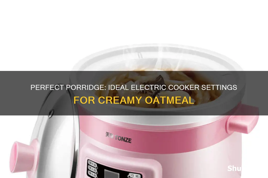 what setting is used for porridge on electric cooker