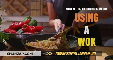 Mastering Wok Cooking: Optimal Electric Stove Settings for Perfect Stir-Fries