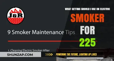 Mastering Electric Smoker Settings for Perfect 225°F Smoking Results