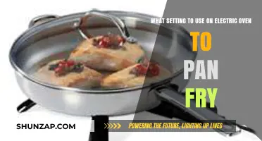 Mastering Pan-Frying in an Electric Oven: Optimal Settings Guide
