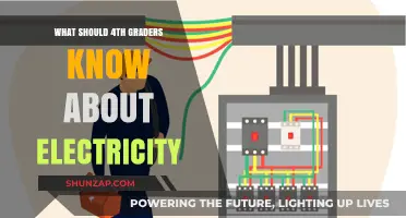 Electricity Basics for Fourth Graders: What You Need to Know