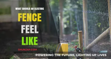 Electric Fence Shock: What It Feels Like and Why