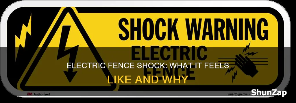 what should an electric fence feel like