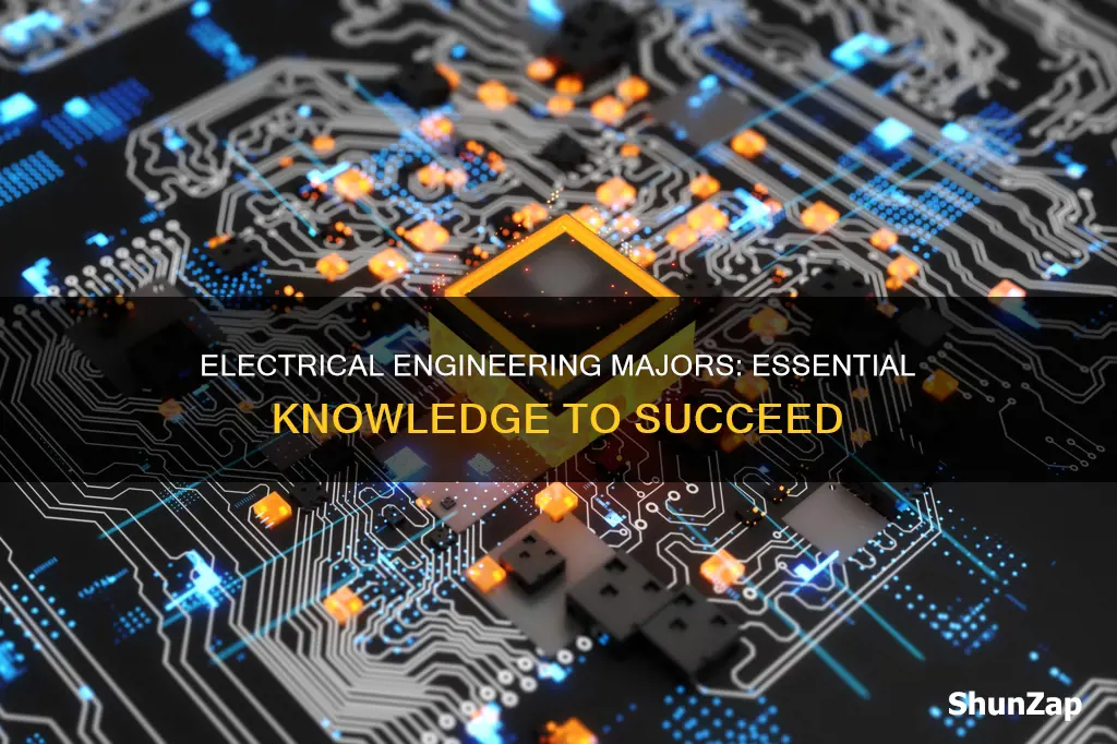 what should an electrical engineerin major know