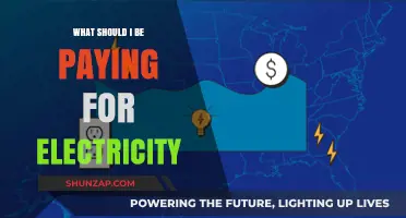 Electricity Costs: What's a Fair Price to Pay?
