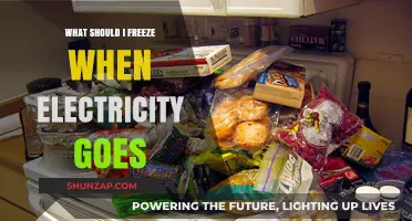 Freezing Essentials: Power Outage Survival Guide