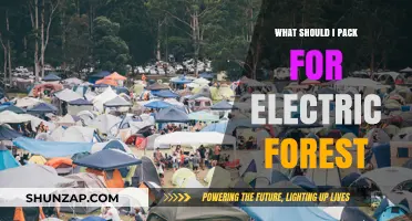 The Ultimate Electric Forest Packing List