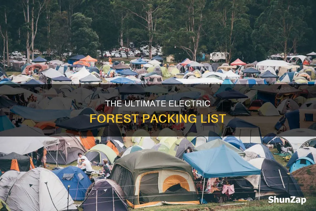 what should i pack for electric forest