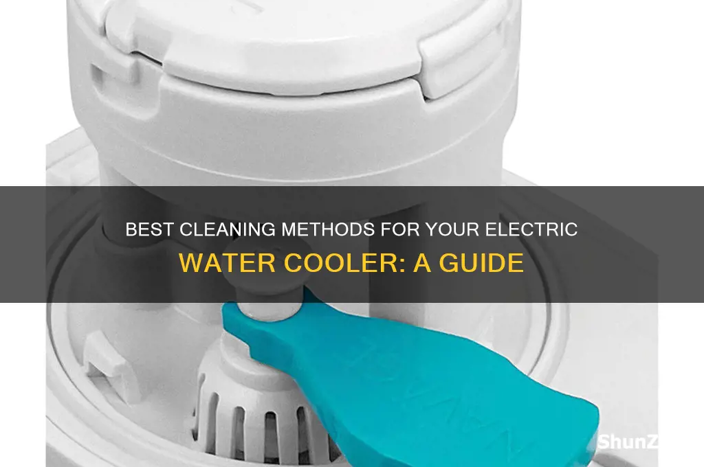what should i use to clean electric water cooler