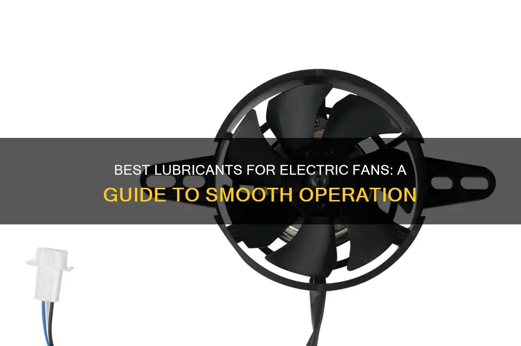 what should i use to lubricate an electric fan