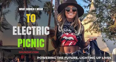 Attire Ideas for Electric Picnic Goers