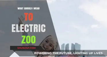 Electric Zoo: What's Your Festival Style?