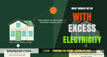Excess Electricity: Creative Solutions for Energy Surplus