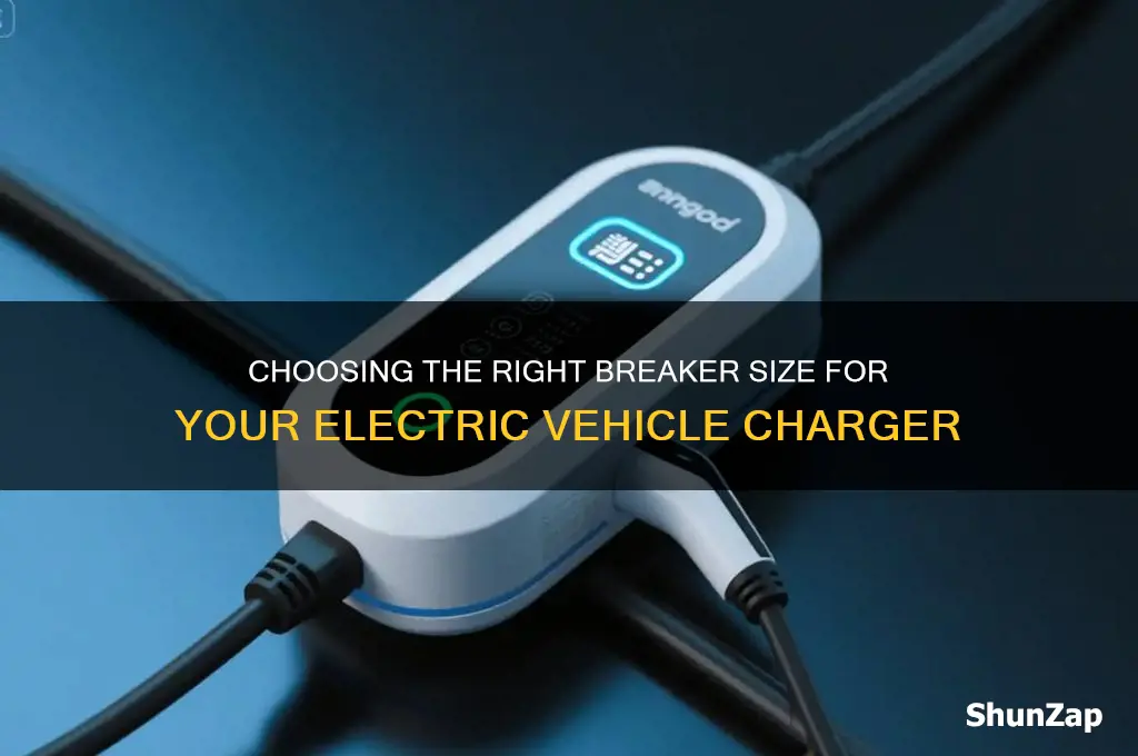 what size breaker for electric car