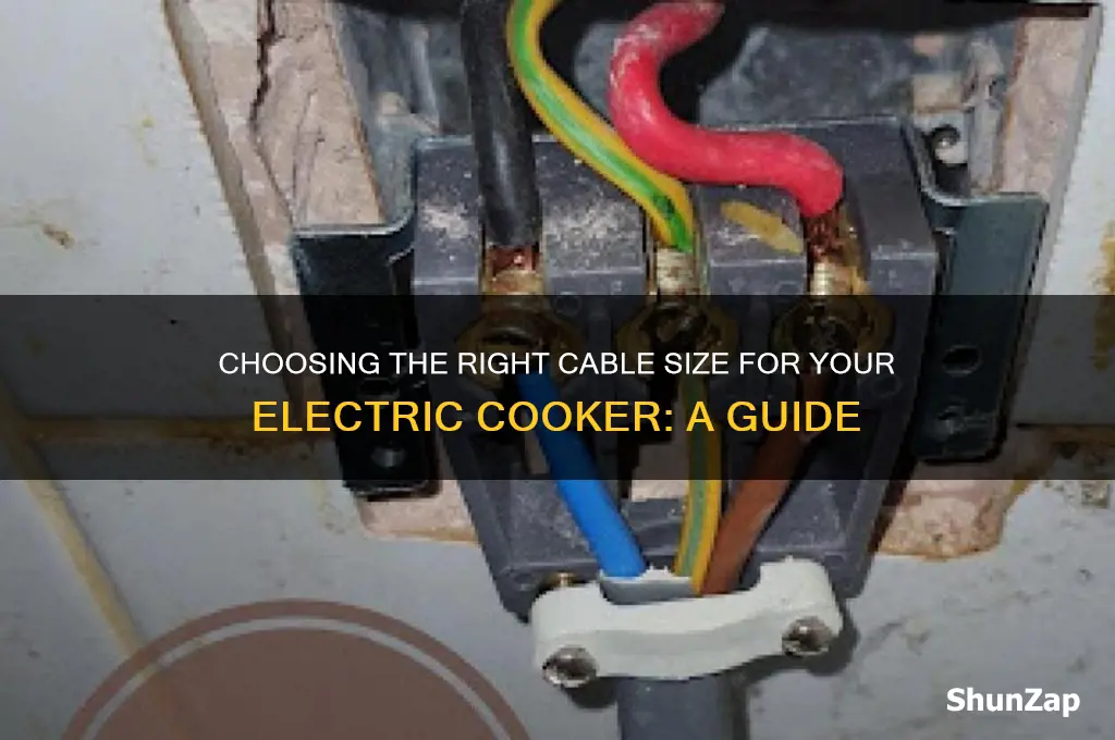 what size cable to use for electric cooker